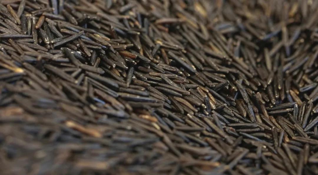 正宗老北京二八酱国营店,探秘老北京炸酱面