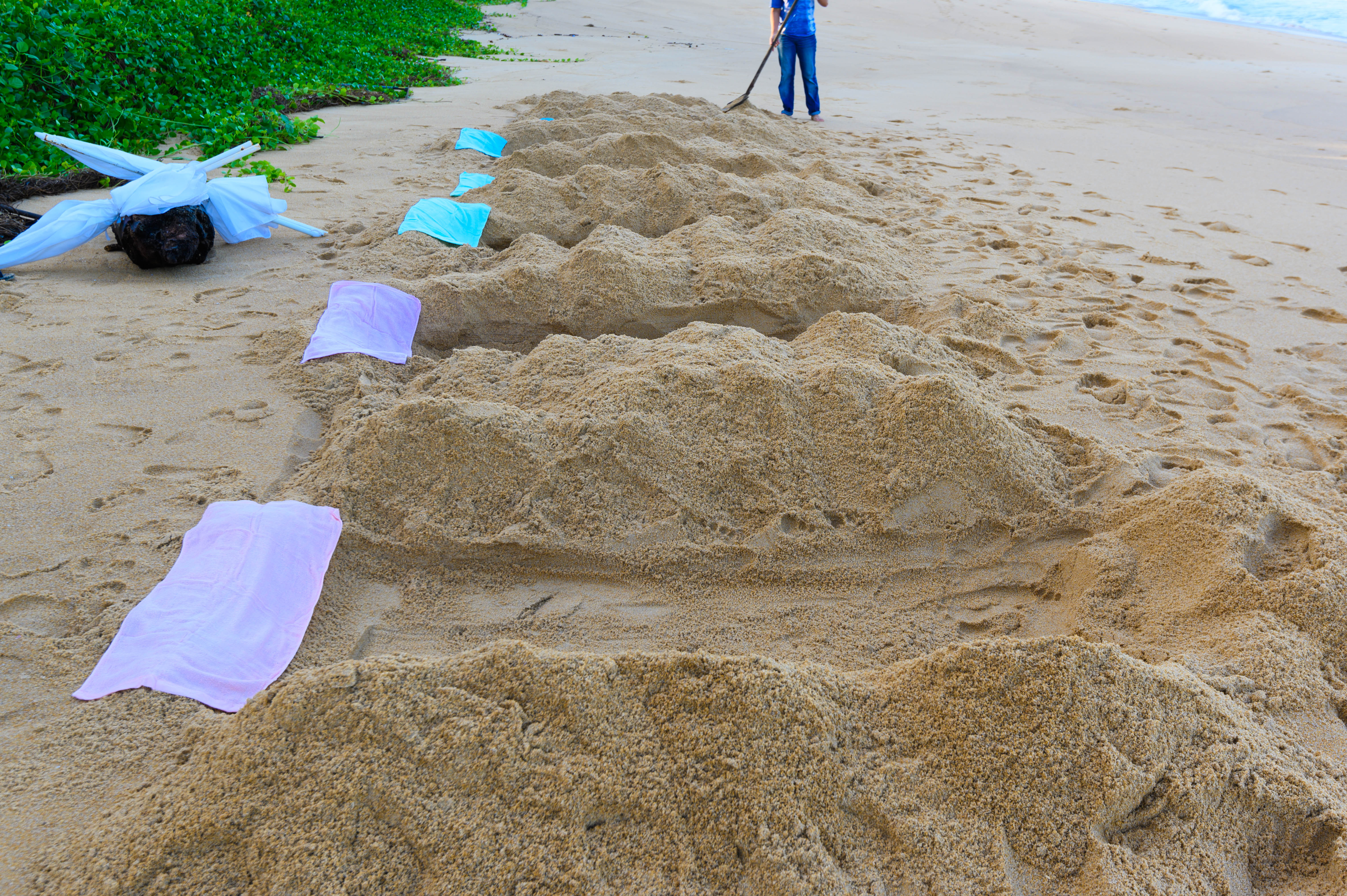泰国旅游团有没有体验泰拳,泰国旅游不能错过的泰拳体验