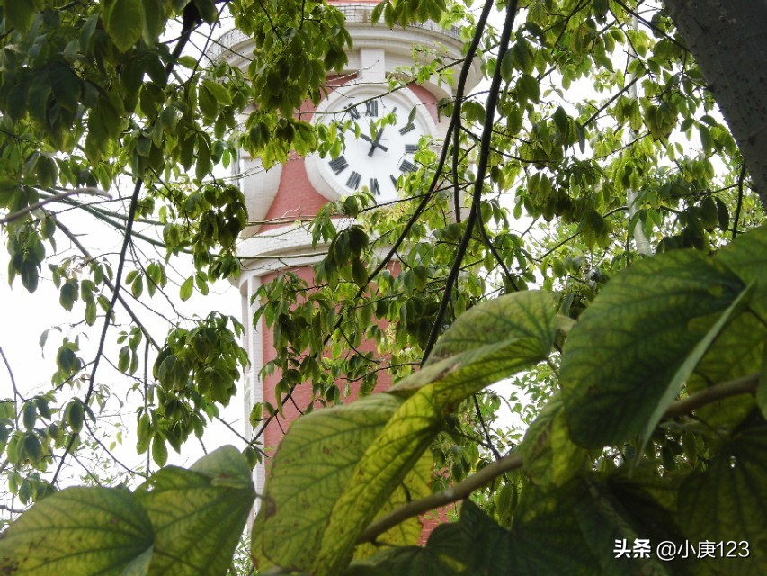 我眼中的岭南师范与广药大。