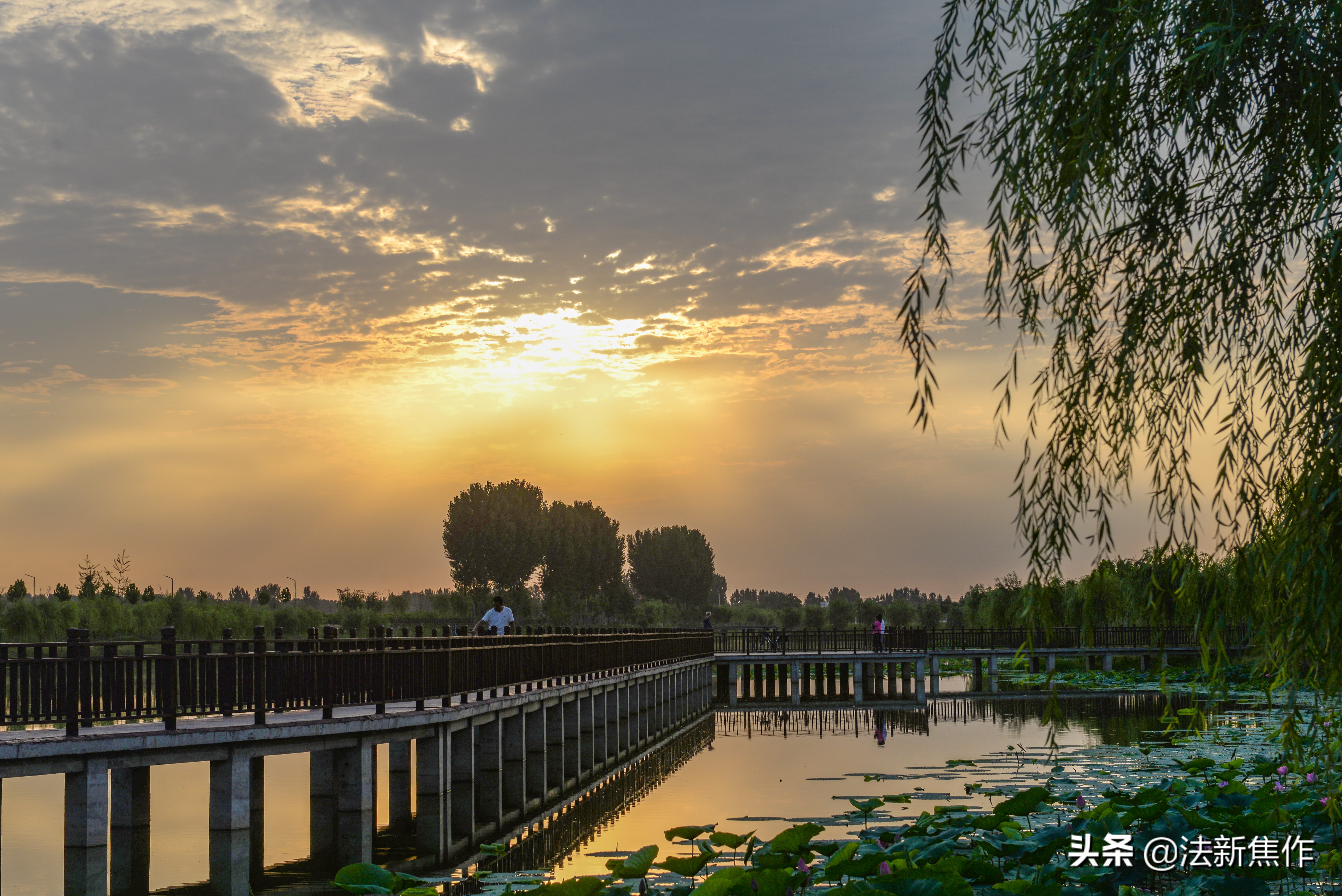 建党百年感人诗歌,献礼建党百年诗