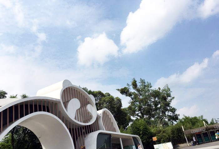 租借到外国的熊猫真的过得好吗,熊猫中国租借熊猫