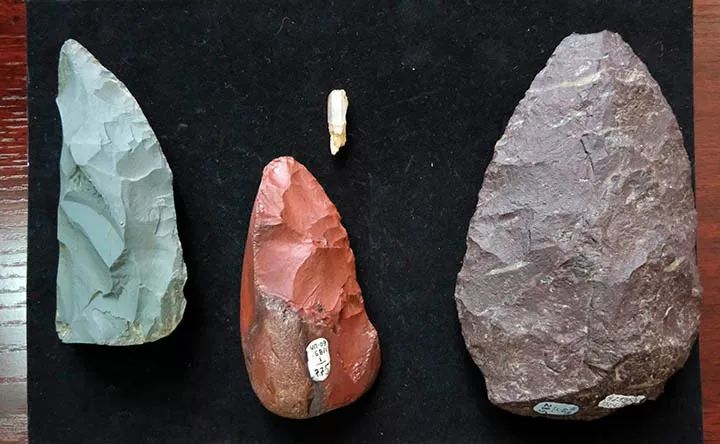 西伯利亚挖掘猛犸象化石,西伯利亚发现神秘洞穴