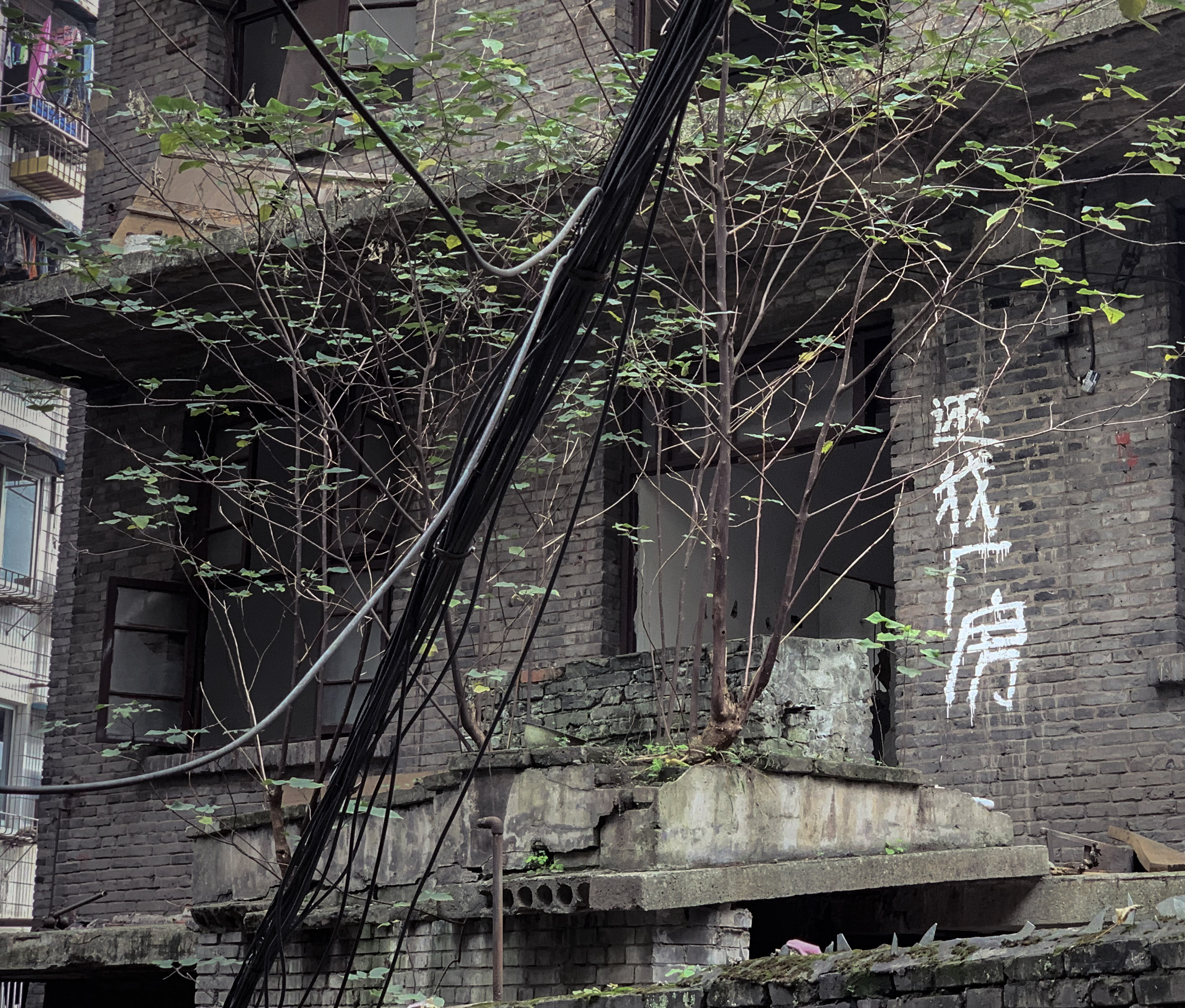 开着福特福克斯去旅游,全新福克斯旅行