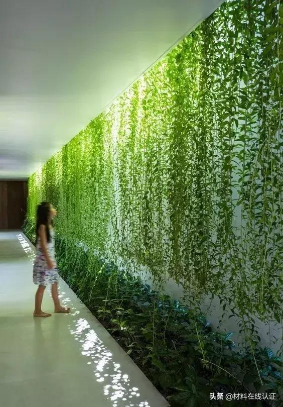 植物窗帘效果图大全,植物窗帘图案