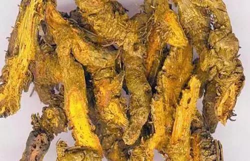 孕期上火怎么办可以喝蒲公英茶,孕期不喝水上火喝水上厕所怎么办