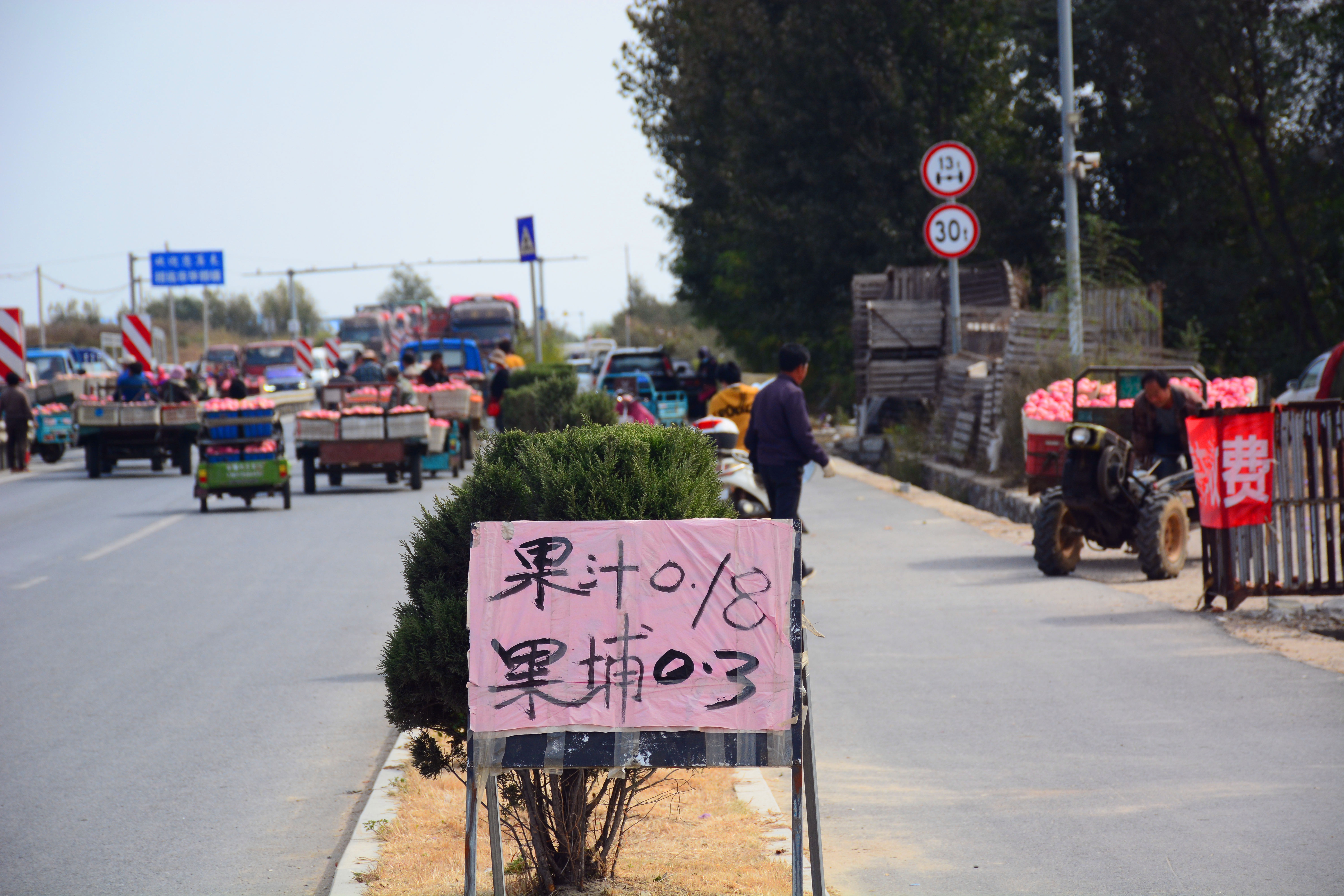烟台苹果价格分析表,烟台蓬莱苹果价格表