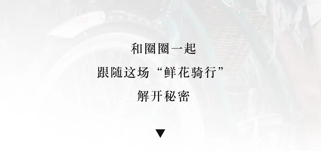 今天的魔都人，都是“花仙子”