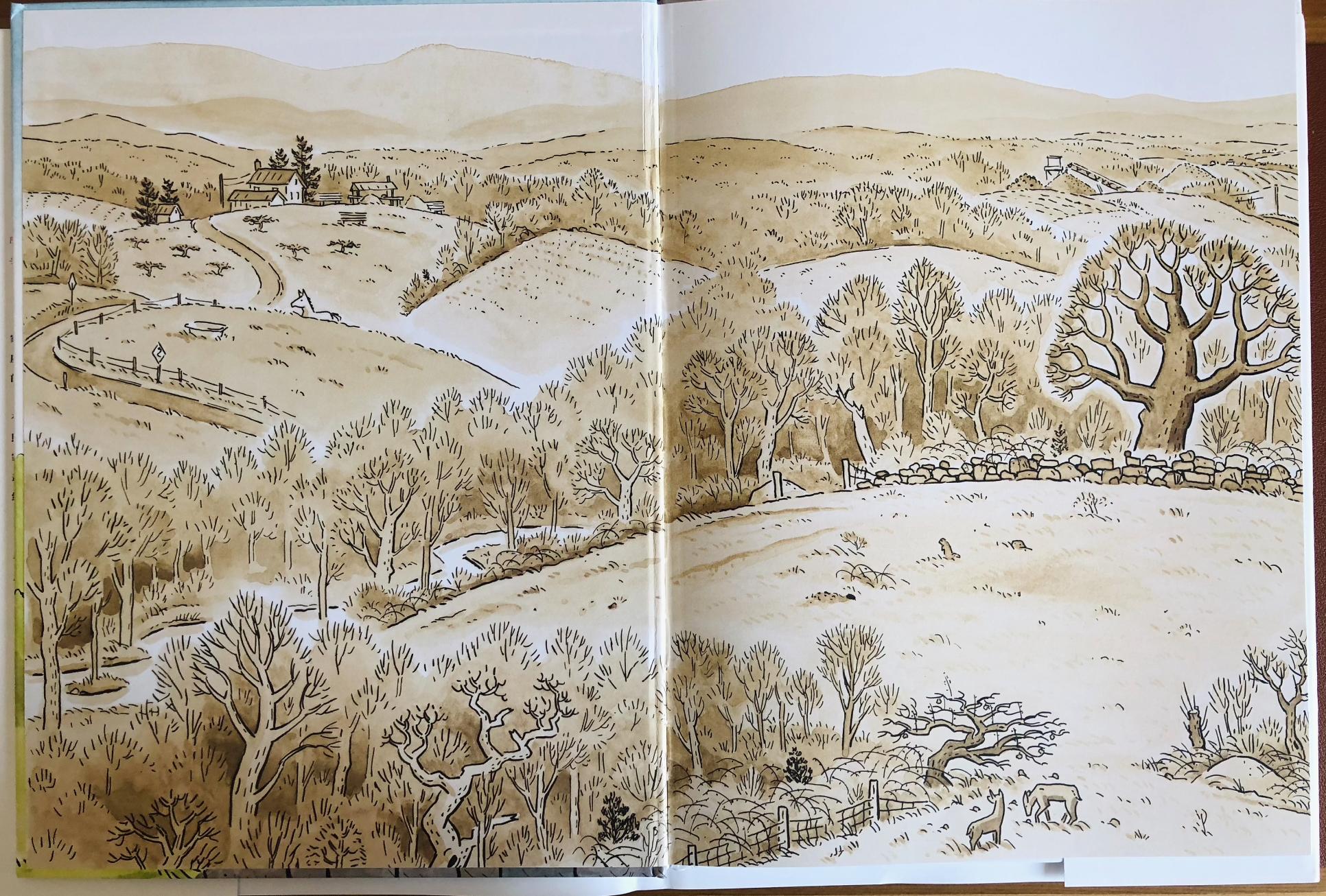 房屋建造全过程绘本,自己的家才是最好的绘本故事