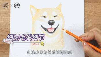 怎样零基础如何学画画,绘画8-12岁儿童学画画