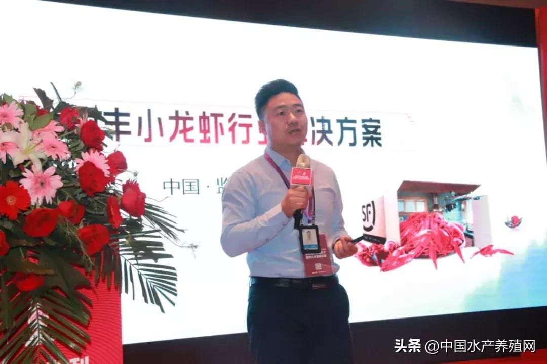 潜江稻田小龙虾产量,虾稻米产量