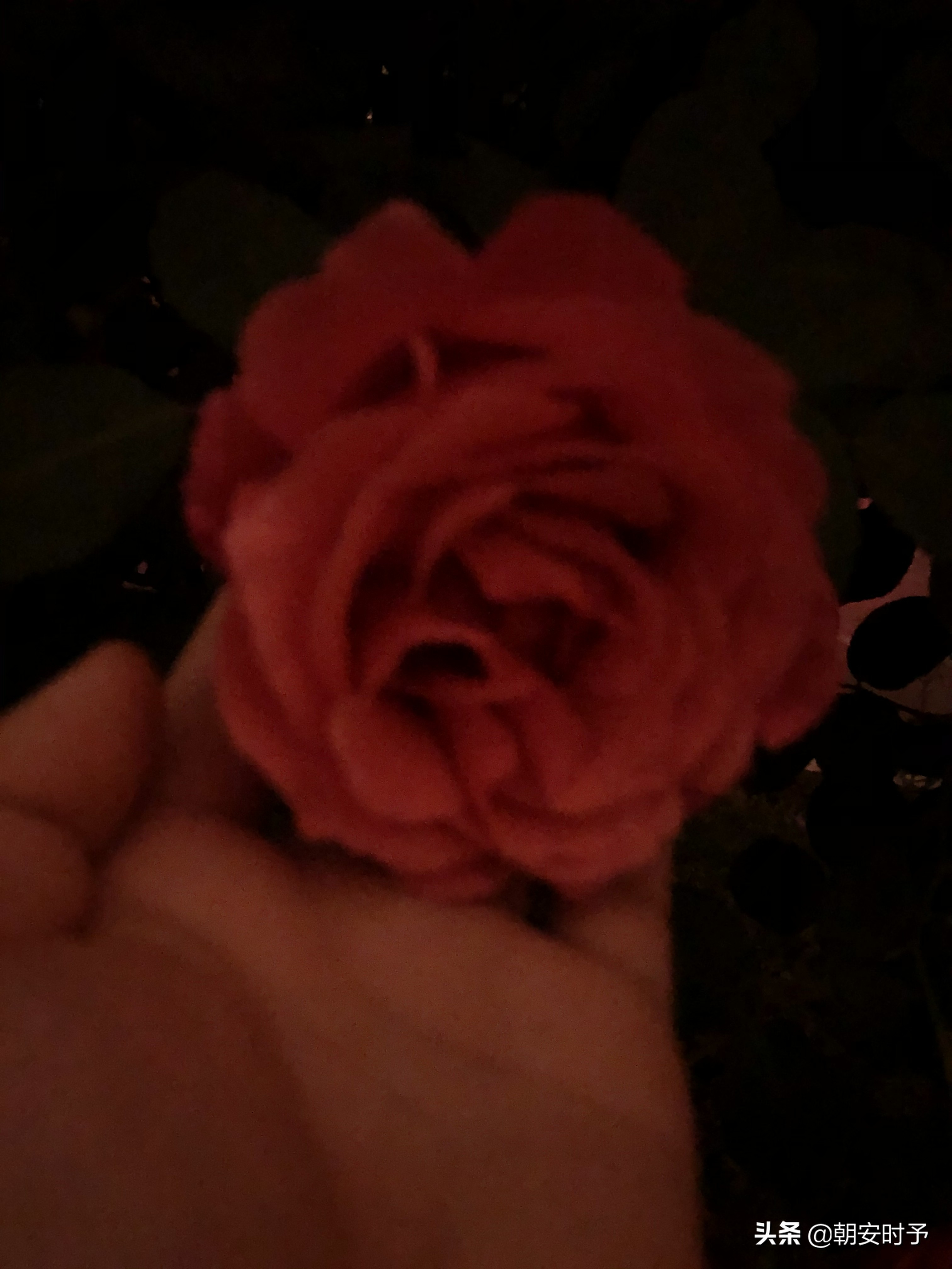 疫情中的武汉美景,大好河山武汉市