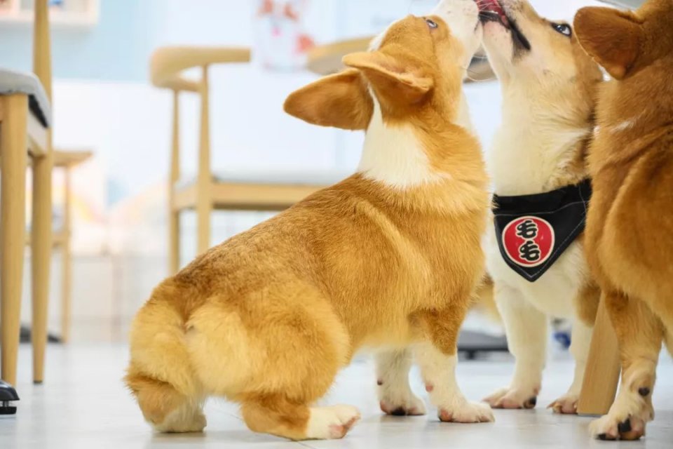 专门摸屁股的店，任摸