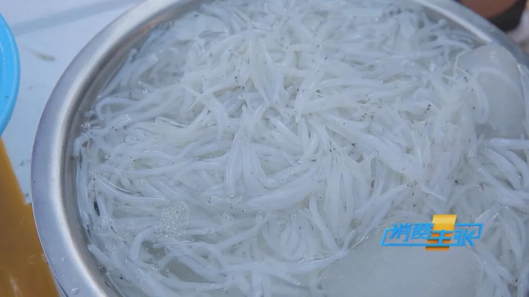 直击太湖开湖现场！鲜美湖鲜大量上市，资深吃货准备好了吗？