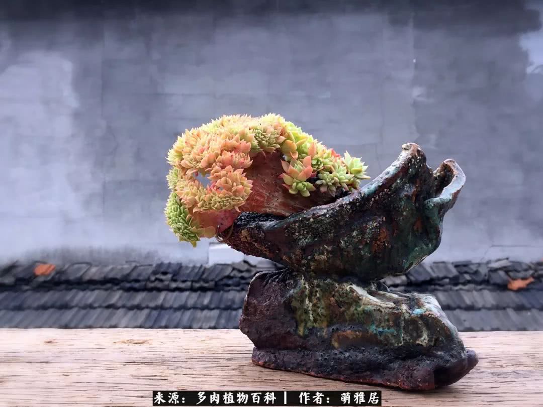 鍒濆啲鏆栭槼鍥寸倝鐓尪,鍐洦鍝佽尪