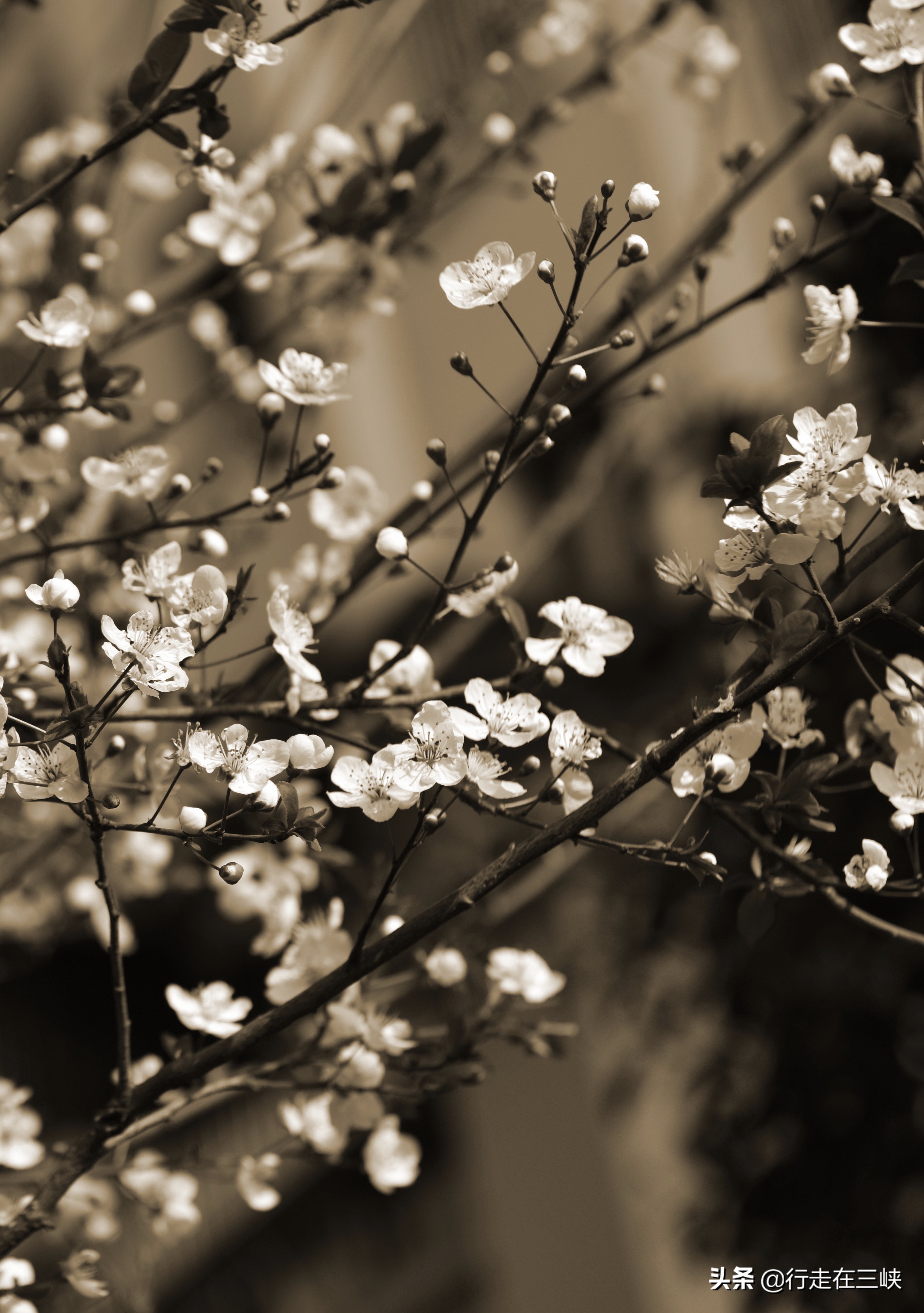 纯色摄影,纯色摄影店