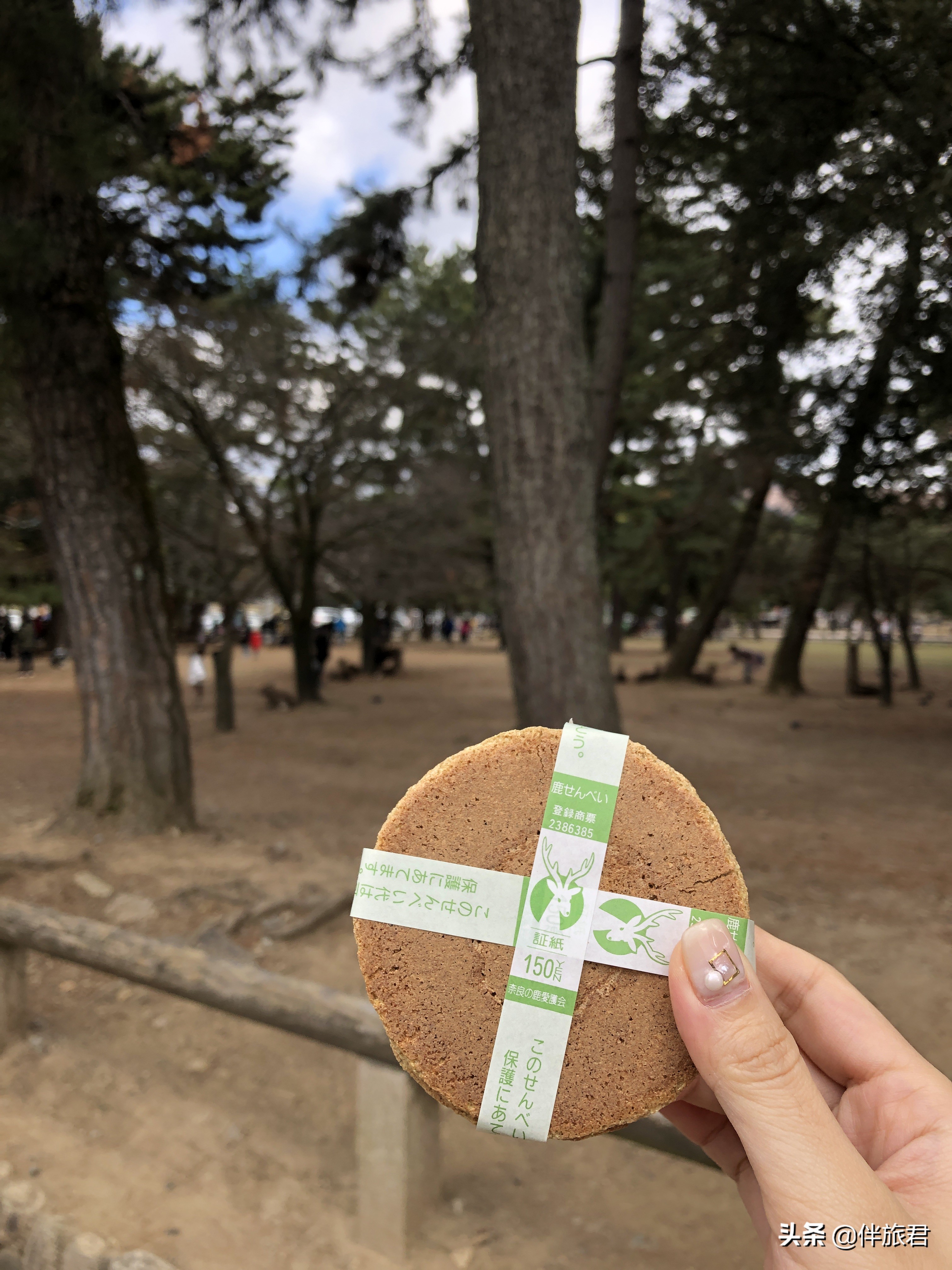 这些数据真惊人：日本旅游业不需要中国顾客？都是说谎