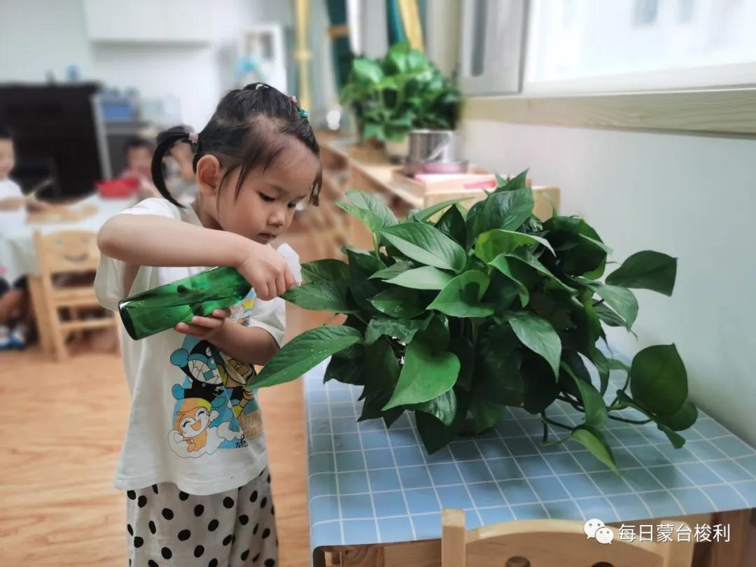 蒙台梭利3-6岁幼儿训练,蒙特梭利怎么教孩子