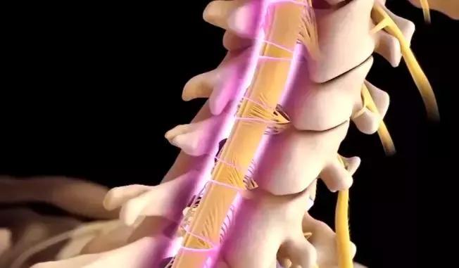 一针治百种病症 (一针治100种病症)