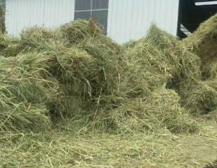 干草储存方法,干草储存湿度要求