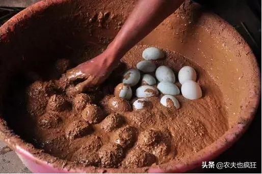 央视曝光的海鸭蛋为何一戳就流油,广西海鸭蛋流油