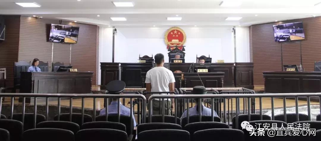 长记性啦，为啥在宜宾不能乱捕泥鳅黄鳝？江安县法院有话说