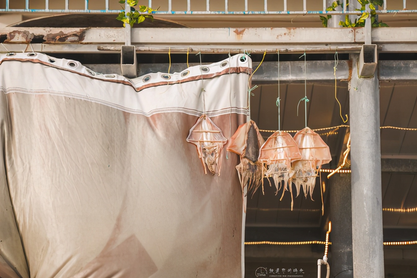 我最喜欢的地方海南三亚,三亚早晨的海滩