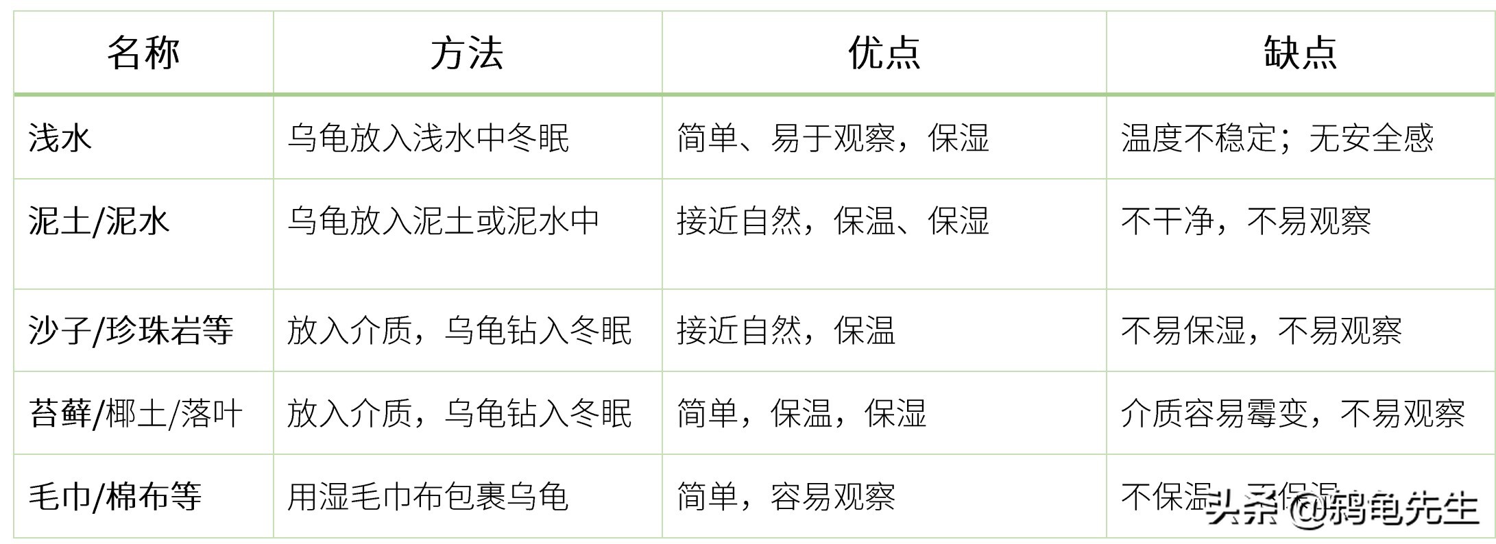 乌龟冬眠方法和注意事项,乌龟冬眠适合新手的方法