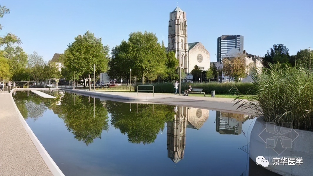 功夫不负有心人考研成功,功夫不负有心人金榜题名