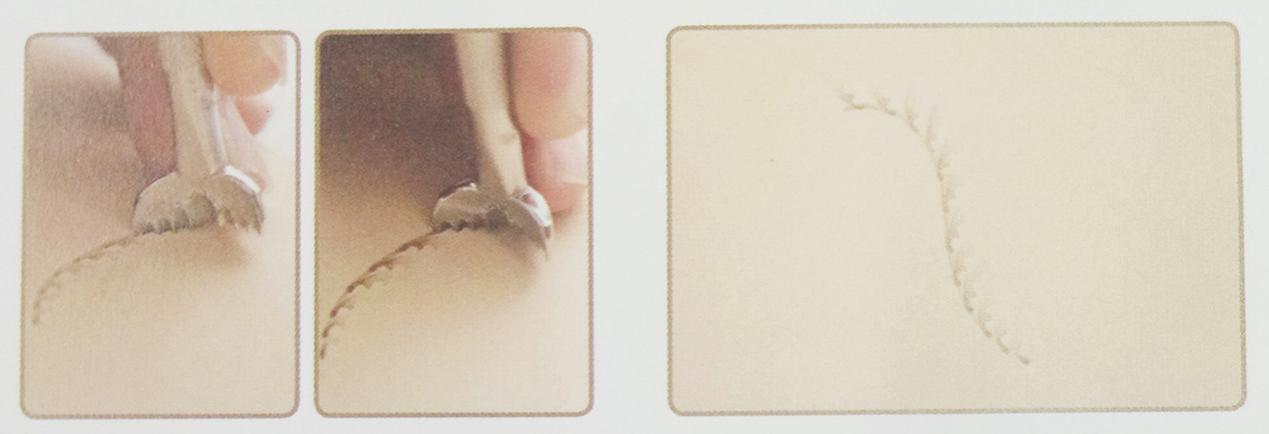 鐨叿鐭ヨ瘑绉戞櫘,鐨洉鎵撳嵃鐭ヨ瘑澶у叏