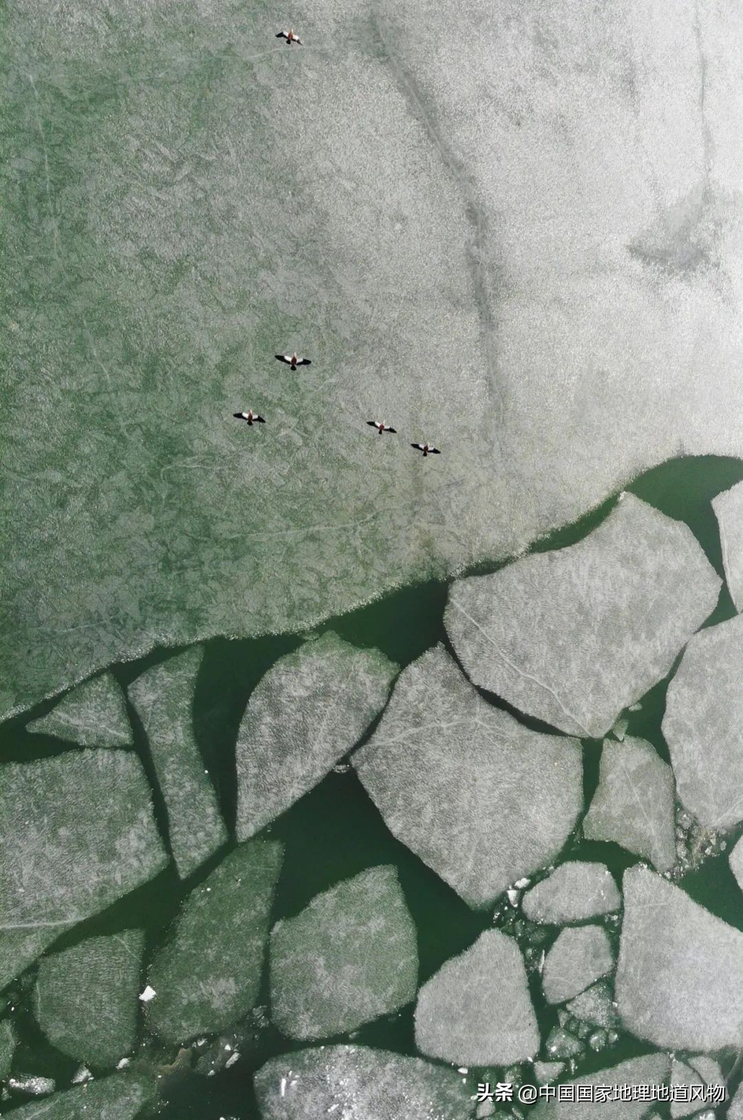 甘肃武威富裕吗,武威威武完整版