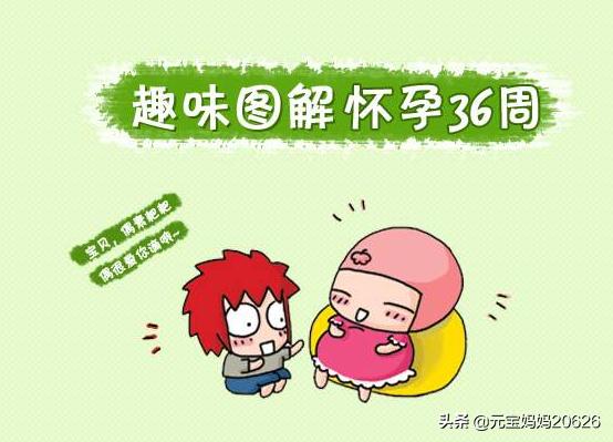 36周偏小4周会影响发育吗,36周胎儿发育标准数据图表