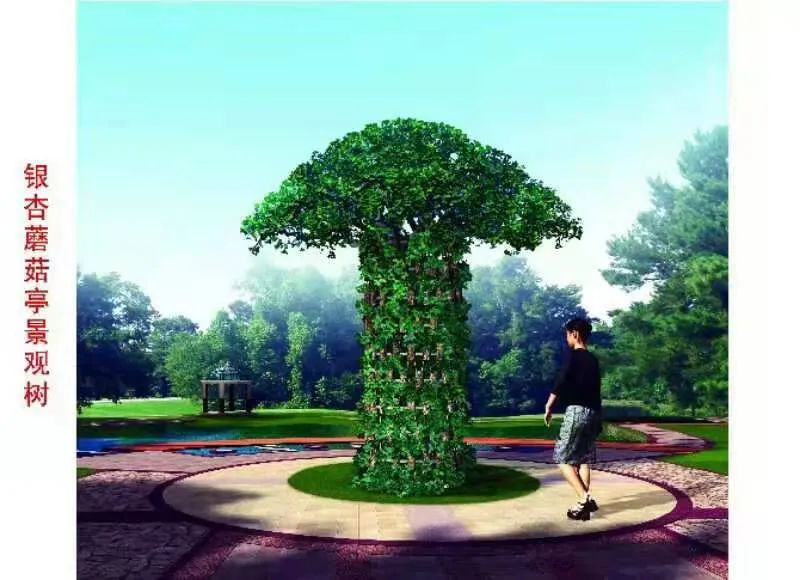 这种银杏不仅秋季金叶，春季叶色也是金黄