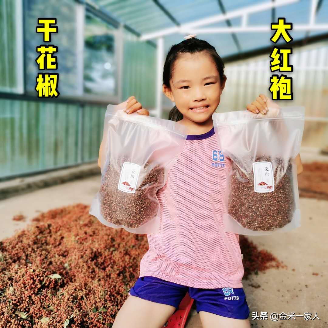 花椒好吃但是摘花椒也辛苦,教给大家采摘花椒的小技巧