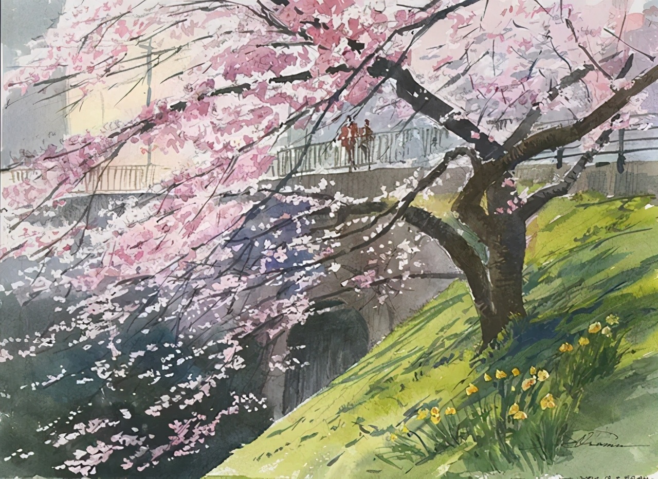 美丽的水彩樱花,水彩樱花风景画乡村田园