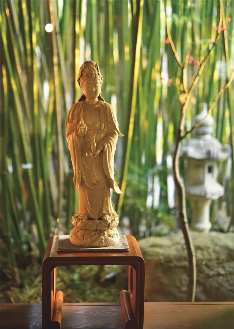 来云南一起看风景吧,来云南一起过年吧