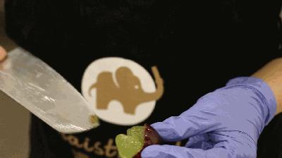 暹香泰茶是不是真实的,暹香泰茶