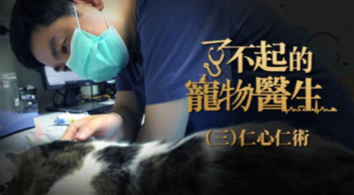 有良心的宠物医生,什么都能治的宠物医生