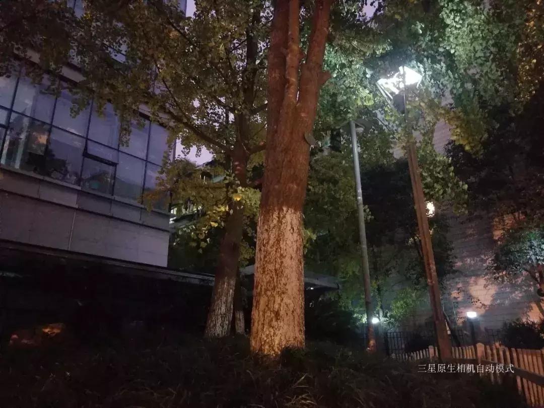 千元机变万元机,千元机拍照堪比苹果