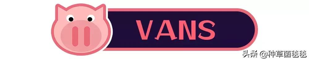 25块买啥,25块买什么东西