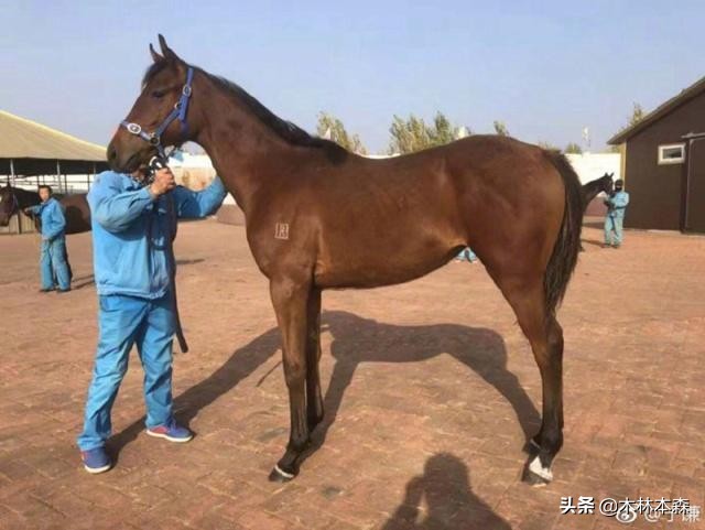 于谦给孟鹤堂找的周九良,于谦孟鹤堂周九良完整版