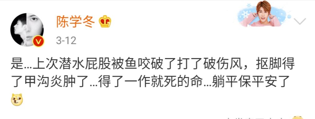 陈学冬摔伤视频,陈学冬因车祸腿部受伤