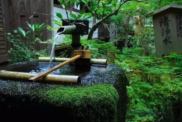 那个说“我啥也不会”的大姐，现在怎么样了？