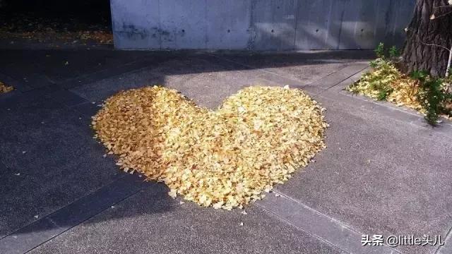 日本购物店需要注意什么,购物为什么要列清单