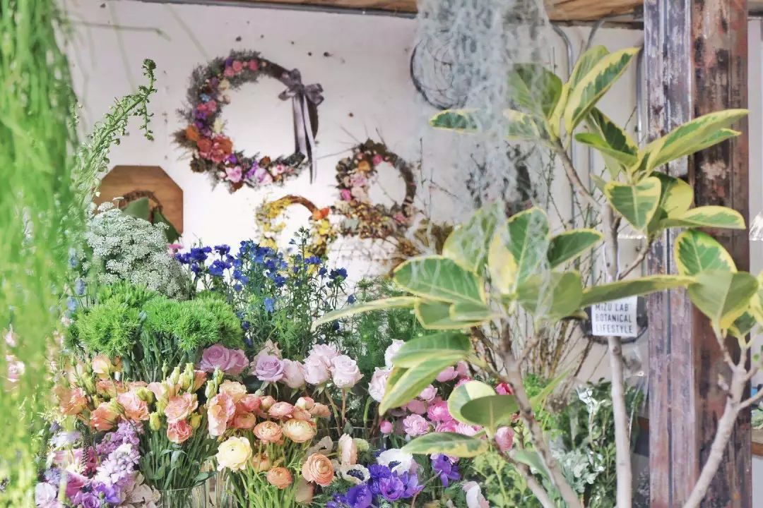 北京最美花店,她放弃了总监职位后续