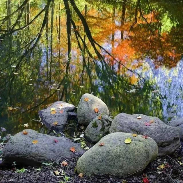 大连哪里的秋色最美呢,大连赏秋景的地方