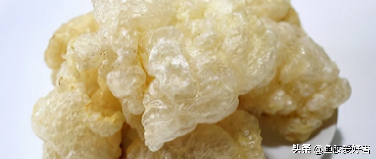 鱼胶做法最简单的方法,鱼胶的做法大全最好吃