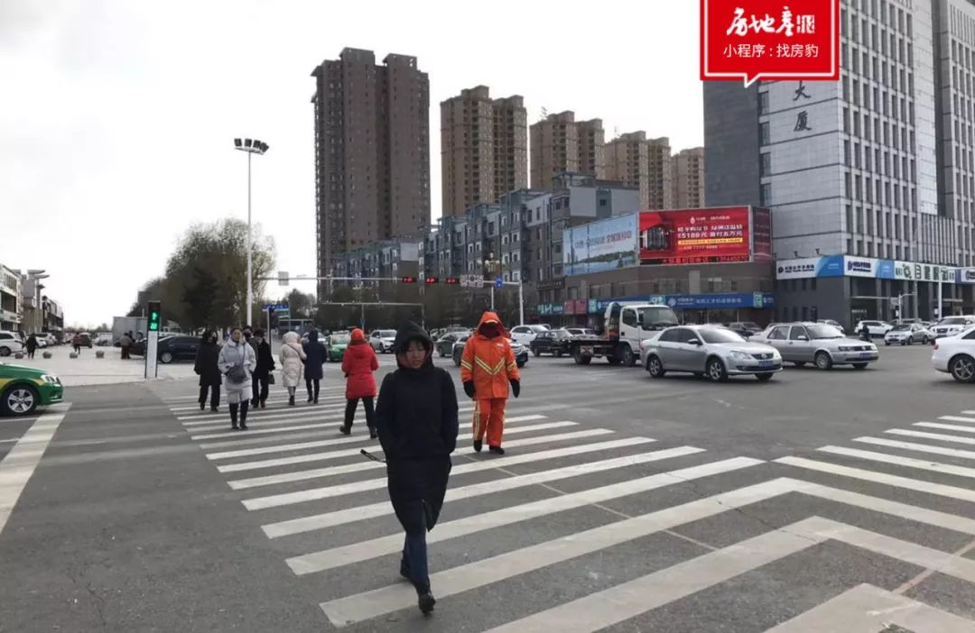 桃李宋卫平,宋卫平的桃李春风