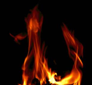 杨文说八字合婚,杨文八字知识大全