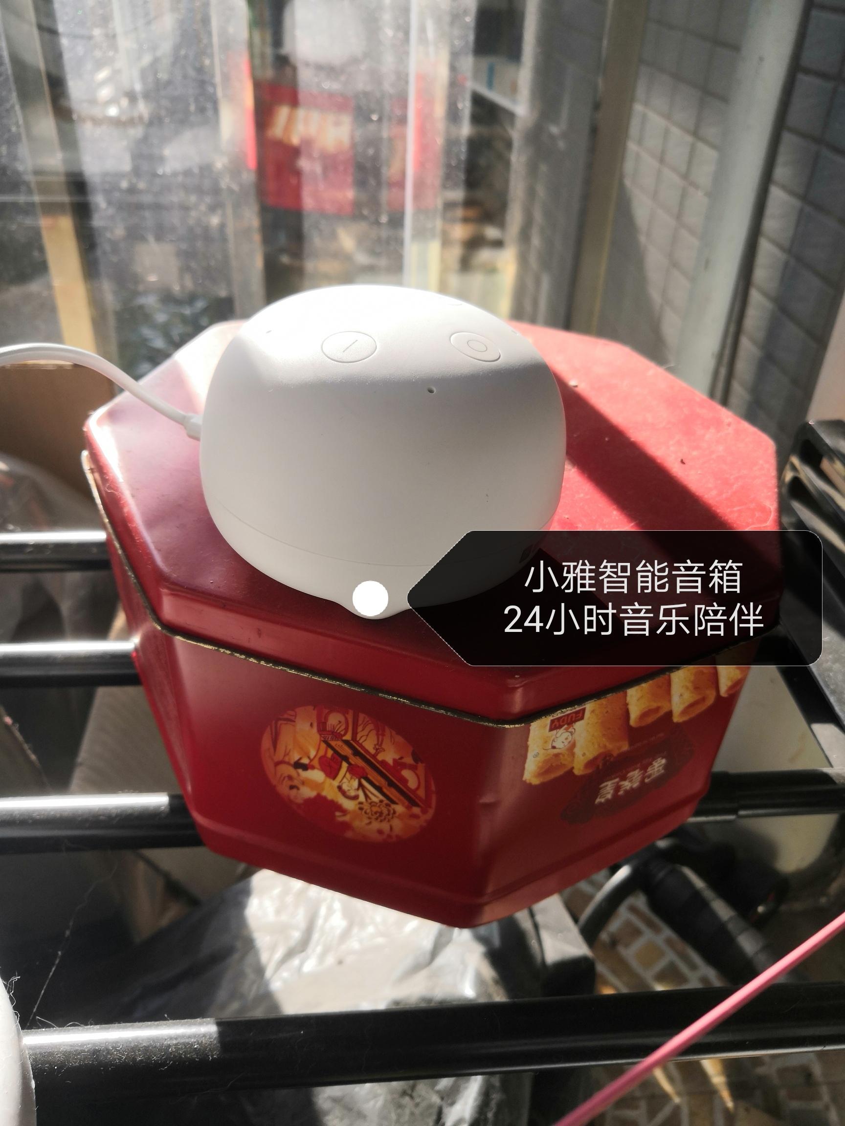 遛狗大爷传授养狗实用技巧,科学养狗狗攻略