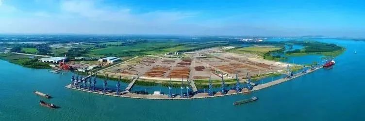 五月绿洲,六月的绿洲